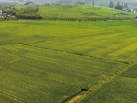 ȫ�Ԅ�Һ�w�_ʩ�ʹ��b�C(j��)