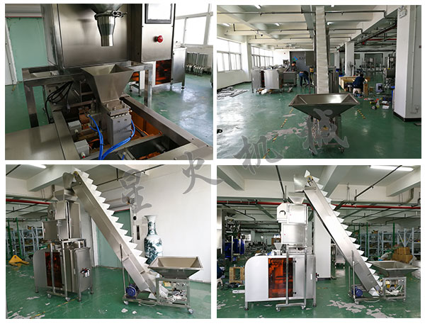 全自動瓜子包裝機械設備/自動化瓜子包裝生產(chǎn)流水線