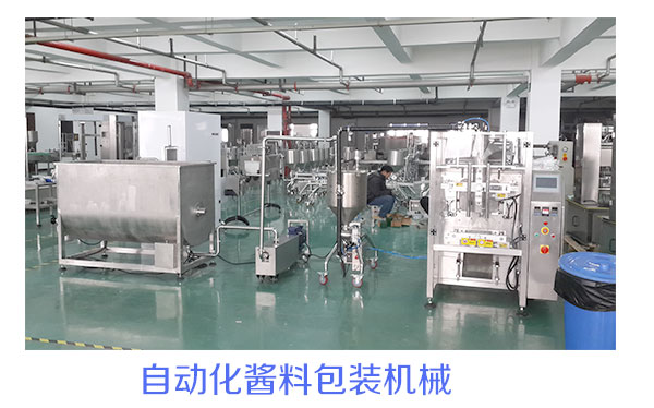 給袋式粉劑包裝機(jī)