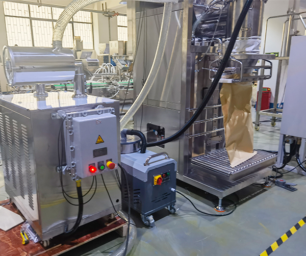 大型食品添加劑包裝機(jī)