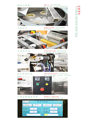 消毒劑包裝機(jī)