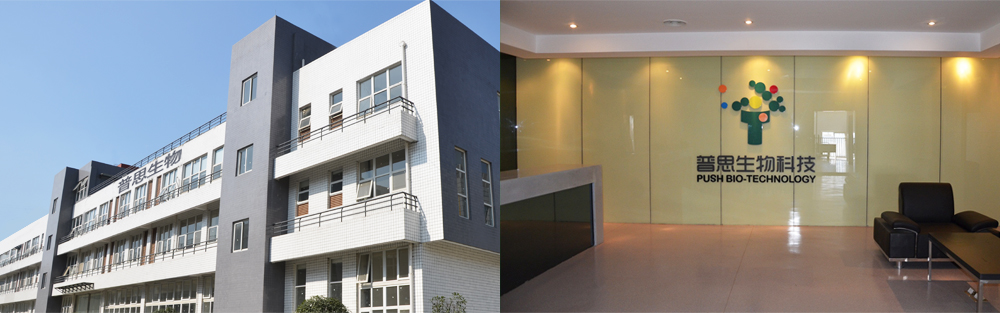 自動水平式包裝機