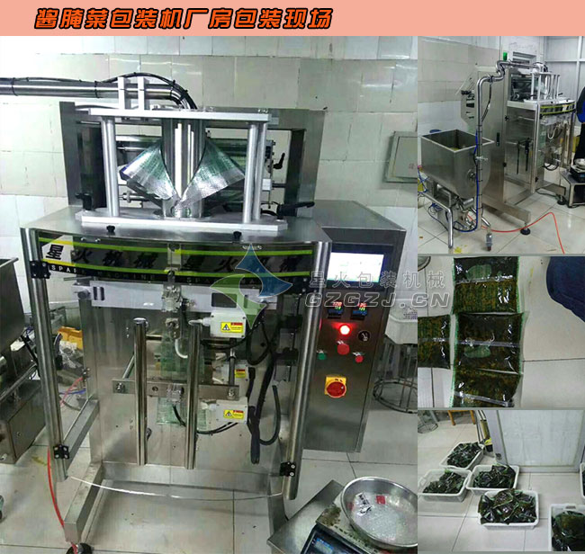 ȫ�Ԅ�(d��ng)���p�����b�C(j��)��Dչʾ