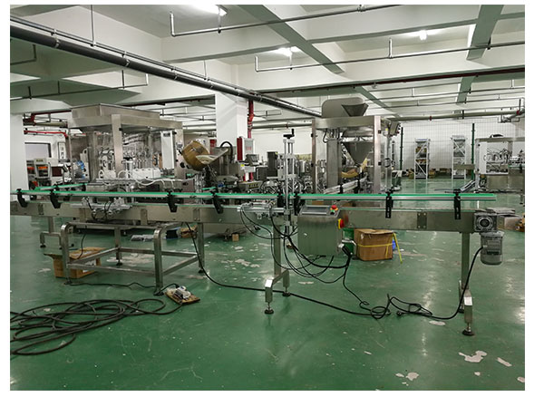 殺菌消毒護(hù)理液灌裝機(jī)